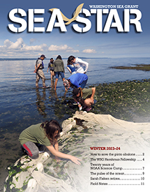 Sea Star (Winter 2023-24)