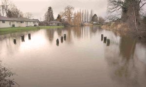 A flooded field.
