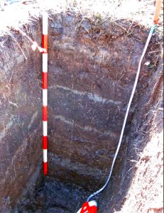 A hole shows bands of light-colored sand where tsunamis hit in the past.