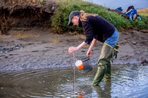 Emily Grason trapping for European green crabs