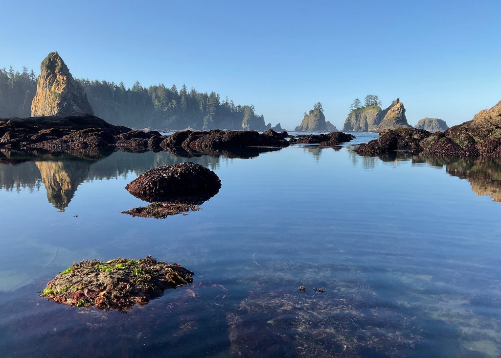 Shi Shi beach