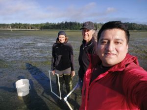 (From left) Kerry Naish, Jennifer Ruesink and Bryan Briones Ortiz in the field.