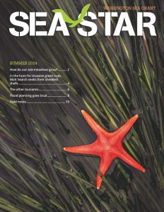 Sea Star (Summer 2024)