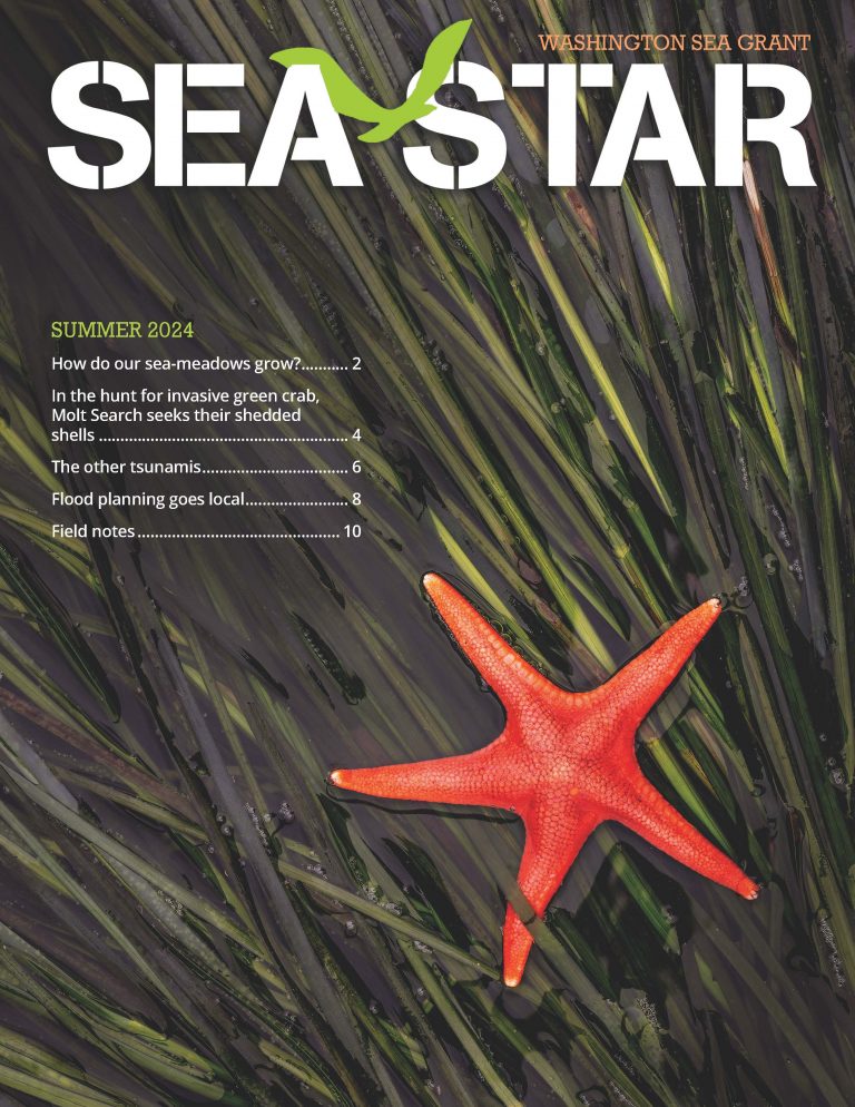Sea Star (Summer 2024)