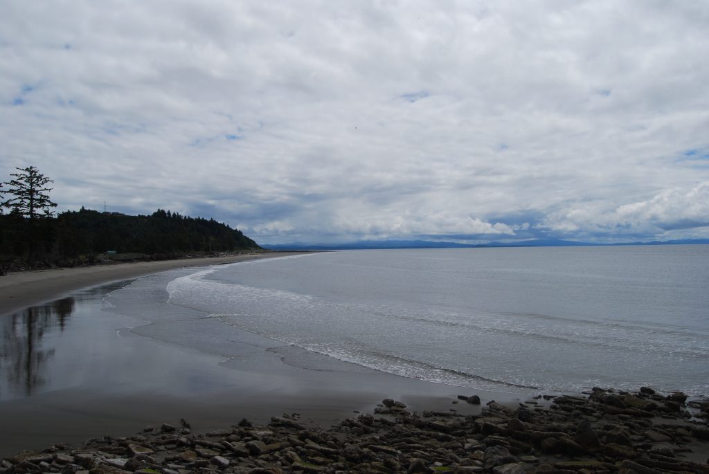 Waves in Willapa Bay