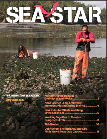 Sea Star (Autumn 2022)
