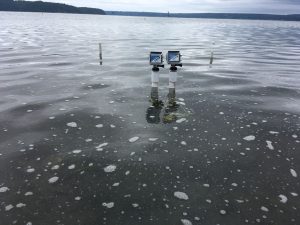 Two Go-Pros poised to capture life beneath the surface.