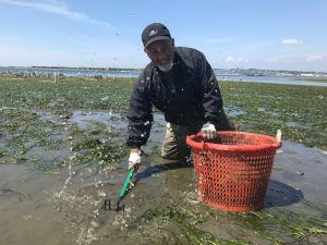 Steve Seymour out in the field