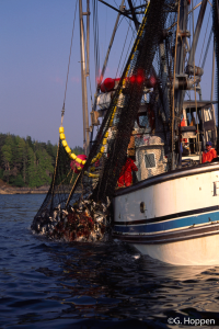 The side of a boat lifting a net out of the water