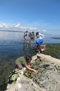 High school students conduct research as part of the Junior Leadership Program.