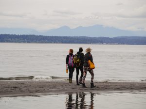 Three people faced away from the camera walk a sandbar at Golden Gardens park in Seattle