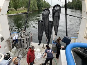 Fine mesh nets used to trap plankton for analysis.