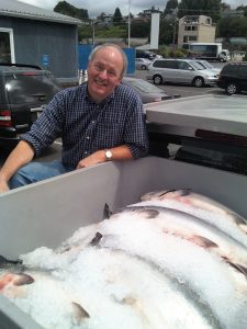 Robert Sudar leans over the bed of a truck. The bed is full of salmon on ice.