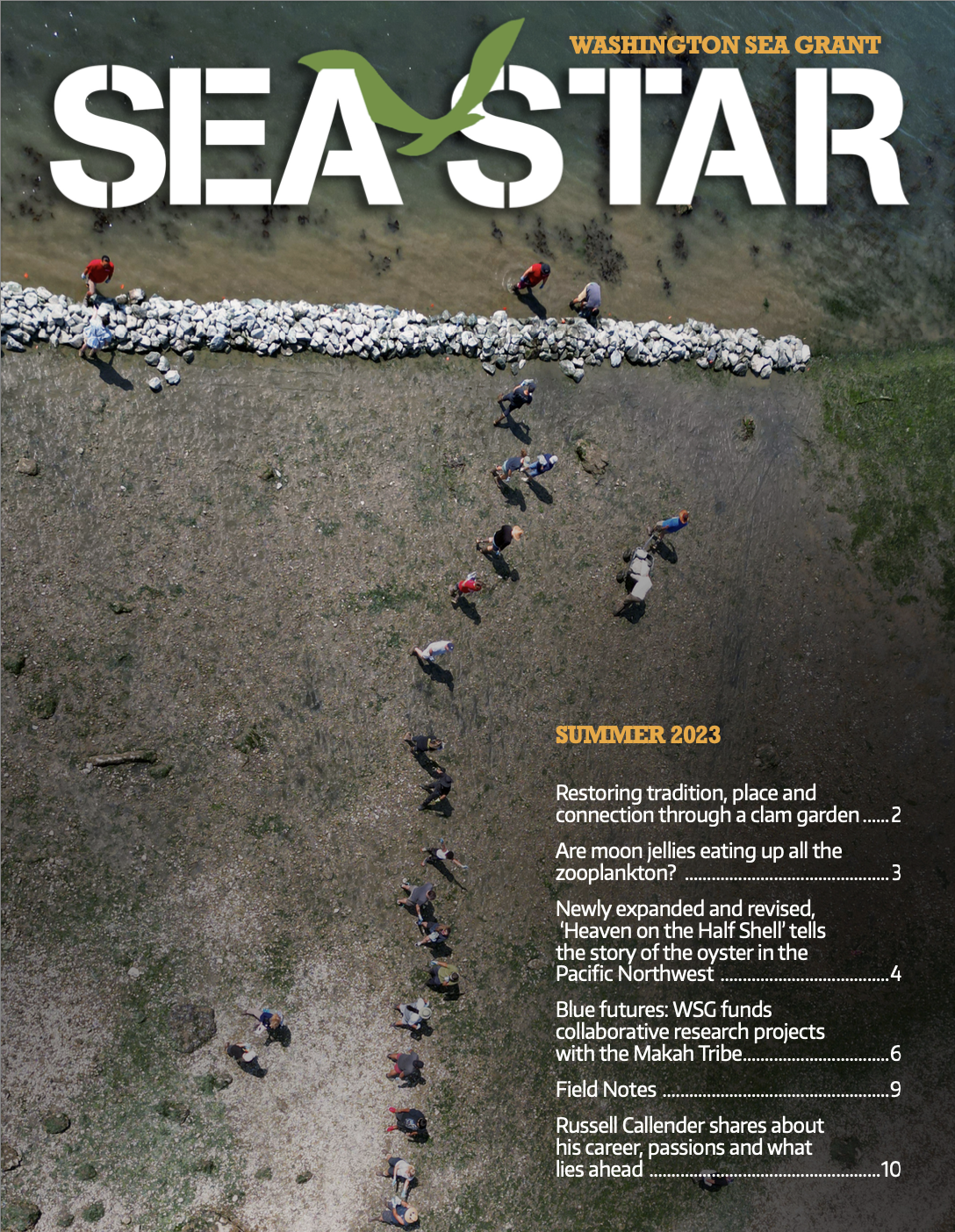 Sea Star (Summer 2023)