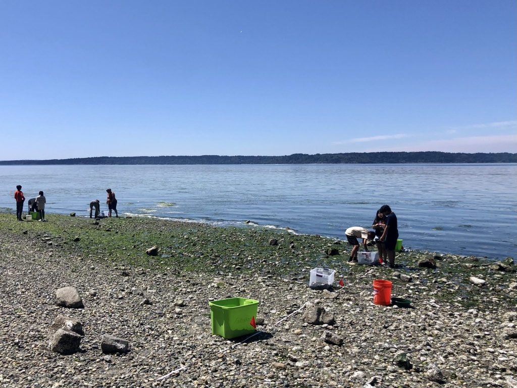 Children collect samples on a rocky beach