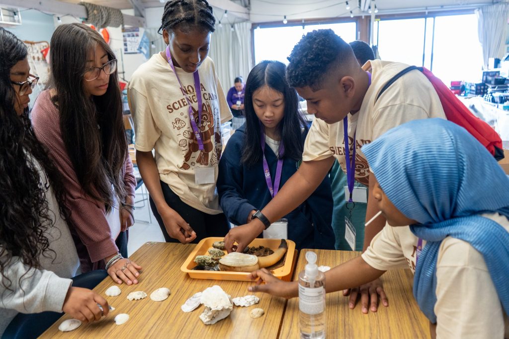 Children examine shellfish around a table
