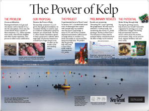 The Power of Kelp