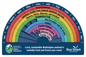 Seafood Wheel Magnet
