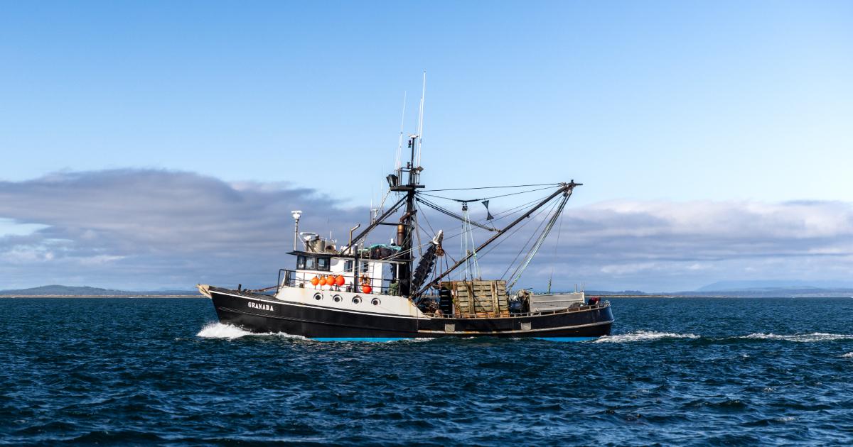 Westport boat