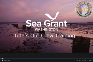 Screenshot of video about Tide's Out Crew Training.