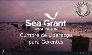 Screenshot of video about Manager Leadership Summit (in Spanish)