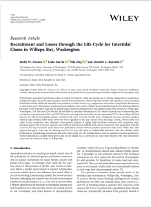 Recruitment and Losses through the Life Cycle for Intertidal Clams in Willapa Bay, Washington