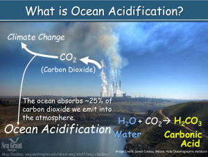 Ocean Acidification Overview Slide Deck