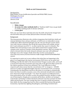 Shells on Acid Lesson Protocol
