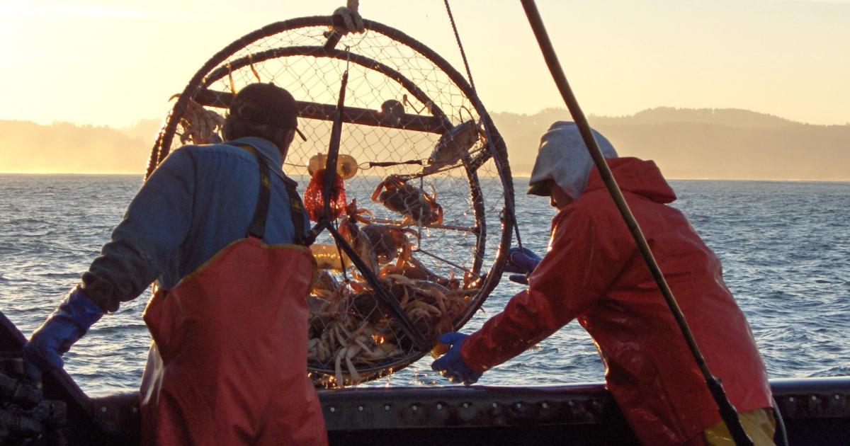Crabbers on a boat