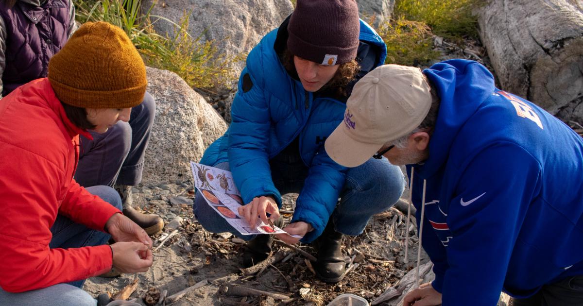 WSG team members conducting a molt search on the beach