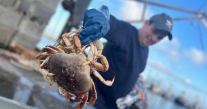 Crab fisherman holding up a Dungeness crab