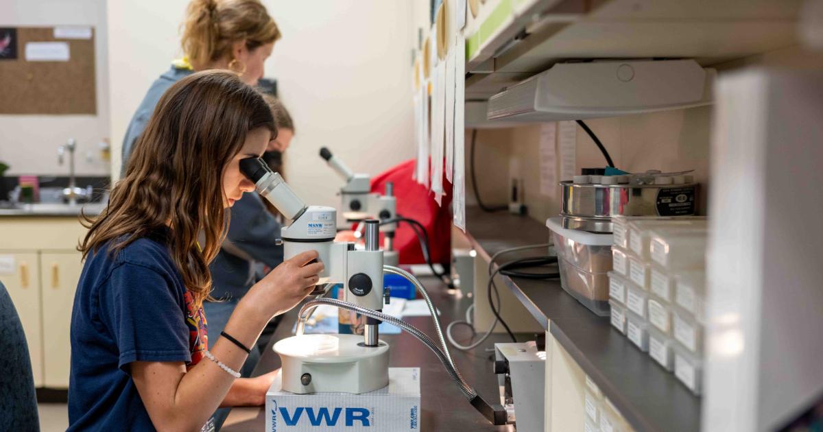 NOAA Science Camp student looks through microscope