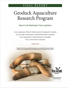 Geoduck Aquaculture Research Program
