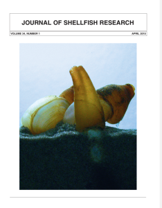 Geoducks – A Compendium