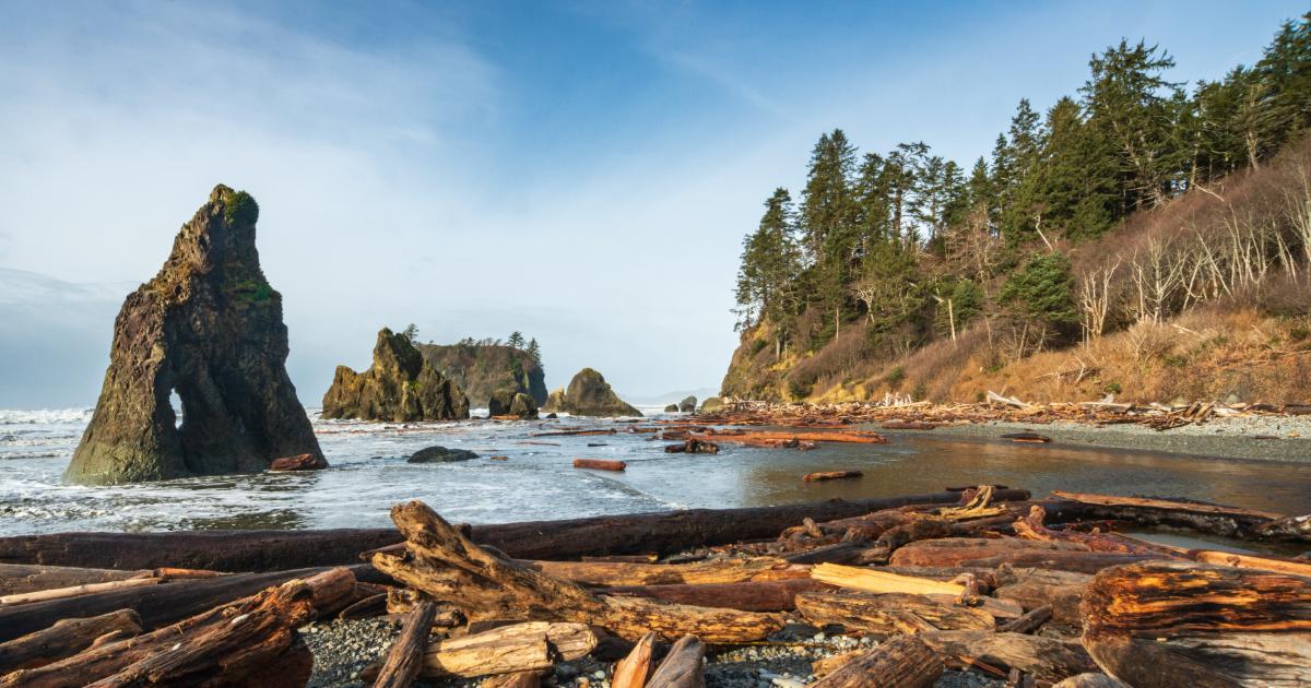 Coastal Rock Formations at Ruby Beach in Olympic National Park in Washington State, USA