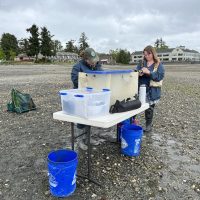 Surveyors take notes by a table on a gravel beach
