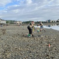Surveying shellfish at the Silverdale Waterfront Park index site