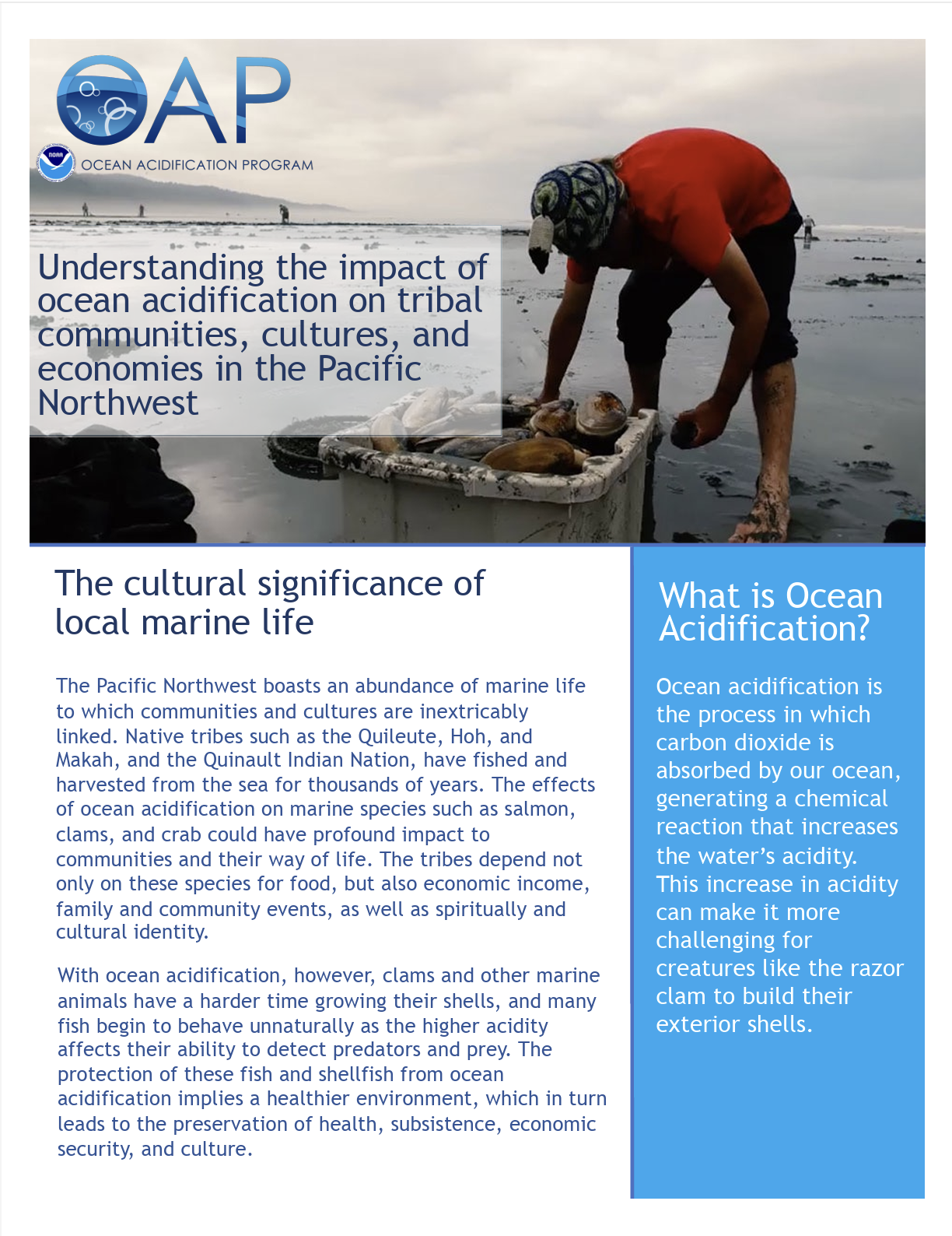 Understanding the impact of ocean acidification on tribal communities, cultures, and economies in the Pacific Northwest