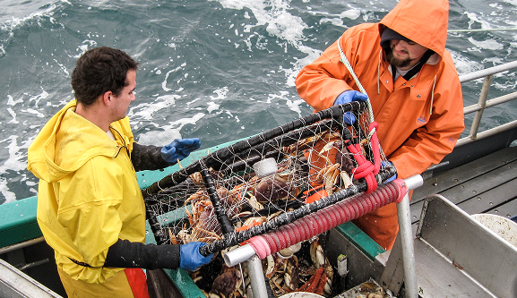 Two fishermen on a boat catching crab