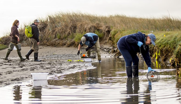 Crabbers inspecting the water, holding their traps