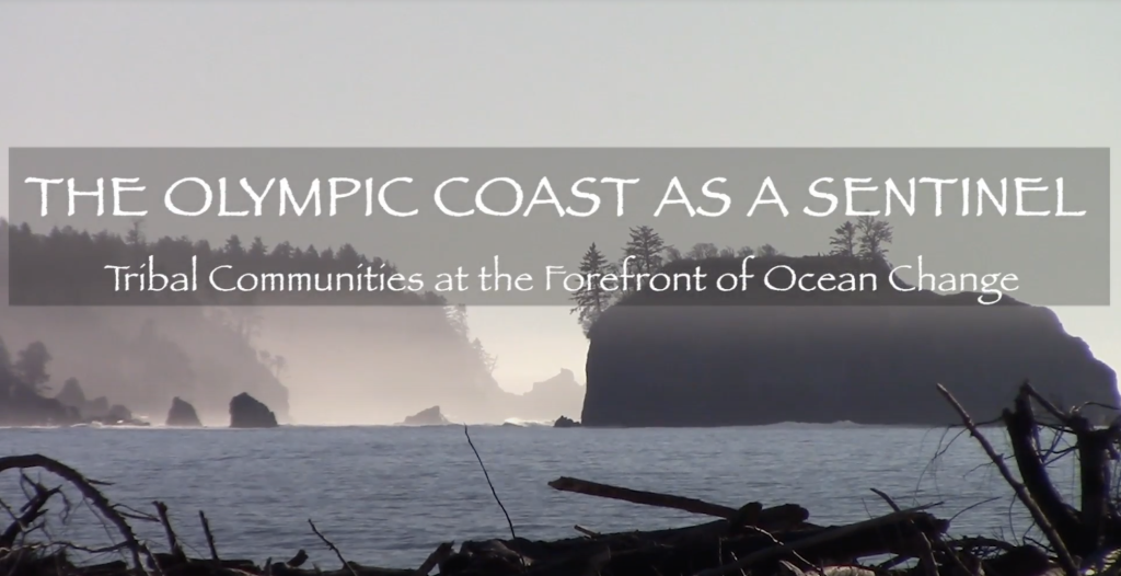 A coastal landscape in Washington with text laid over it: The Olympic Coast as a Sentinel: Tribal Communities at the Forefront of Ocean Change