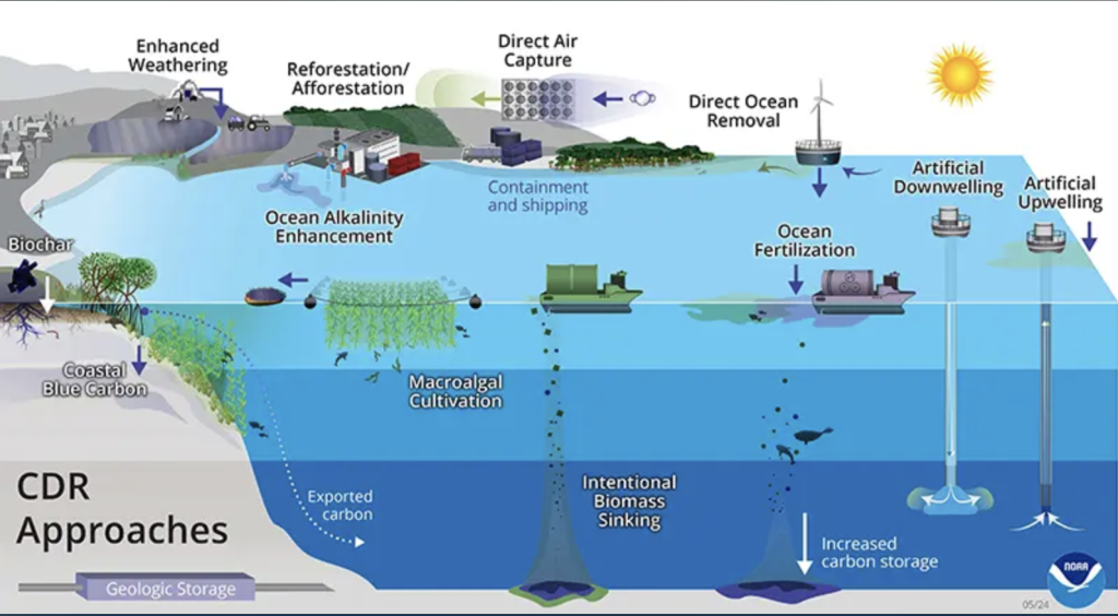 Infographic showing different marine carbon dioxide removal approaches