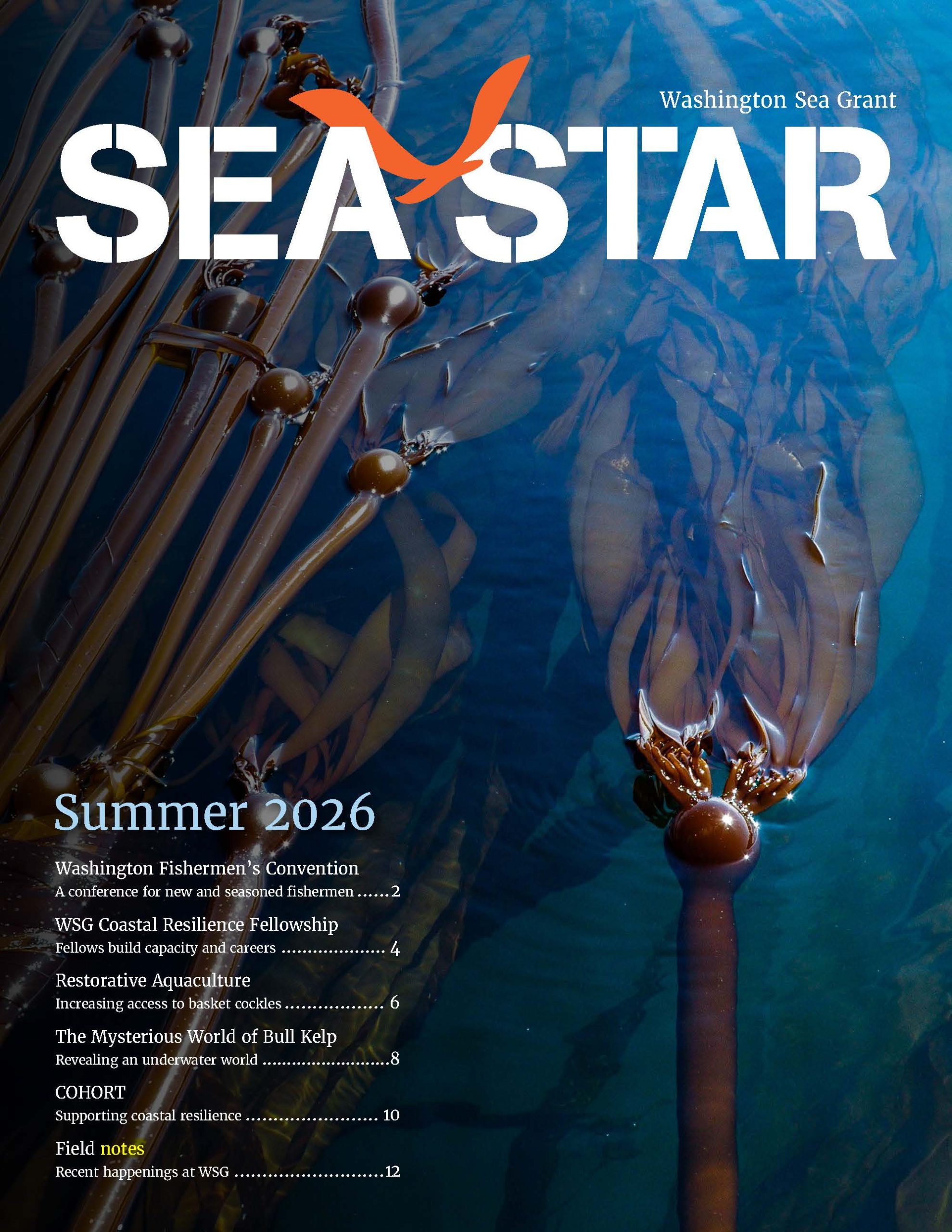 Sea Star (Summer 2026)