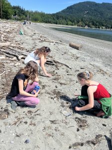 Middle school students crouched on a beach as they conduct a molt search on Orcas Island.