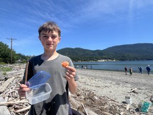 A boy holds the molt of a European green crab while standing on a beach.