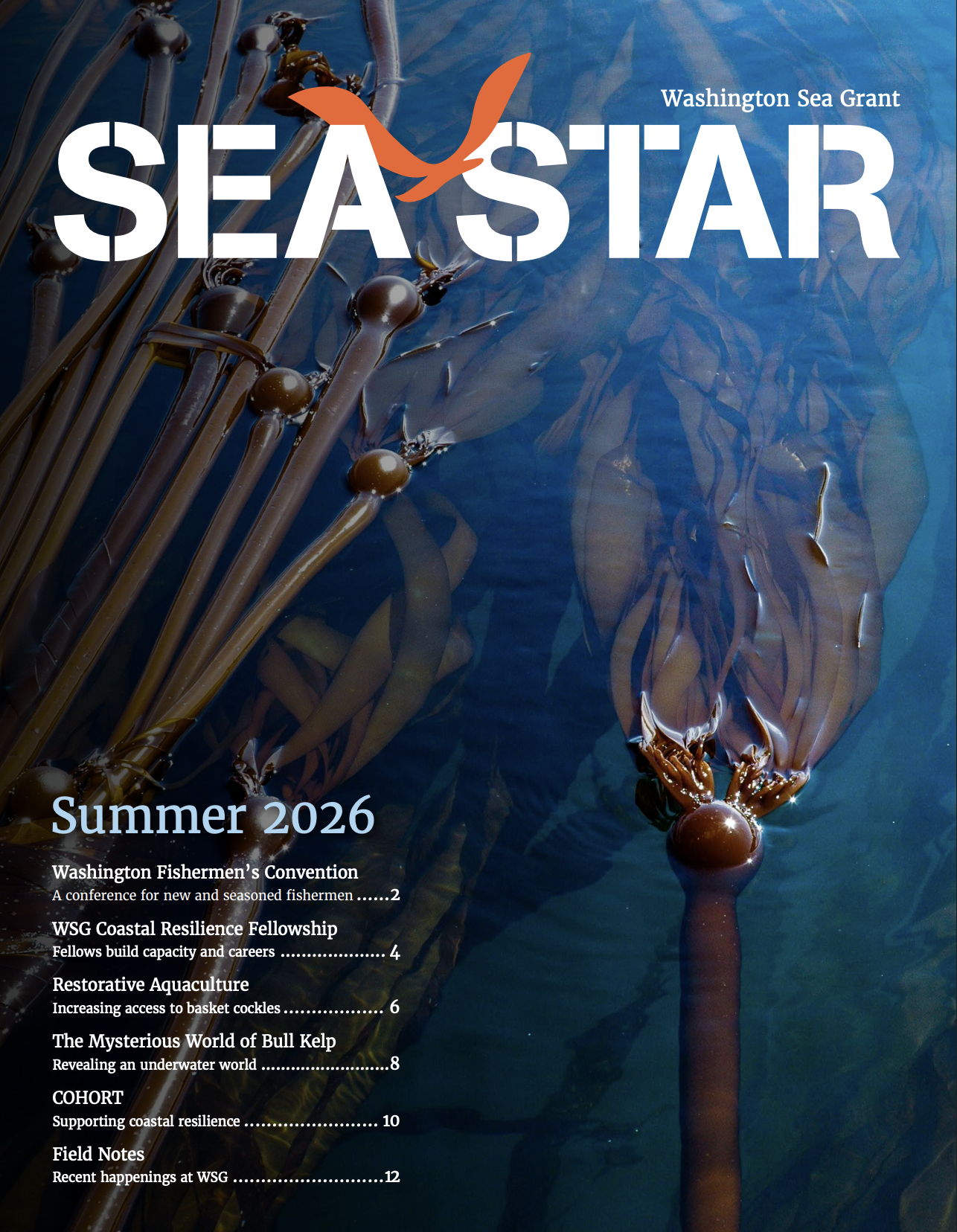 Sea Star (Summer 2026)