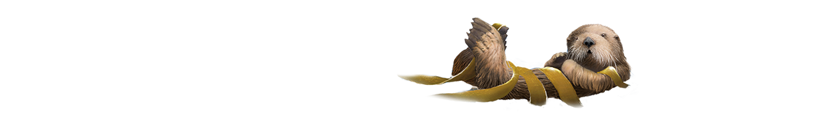 Illustration of otter in bull kelp