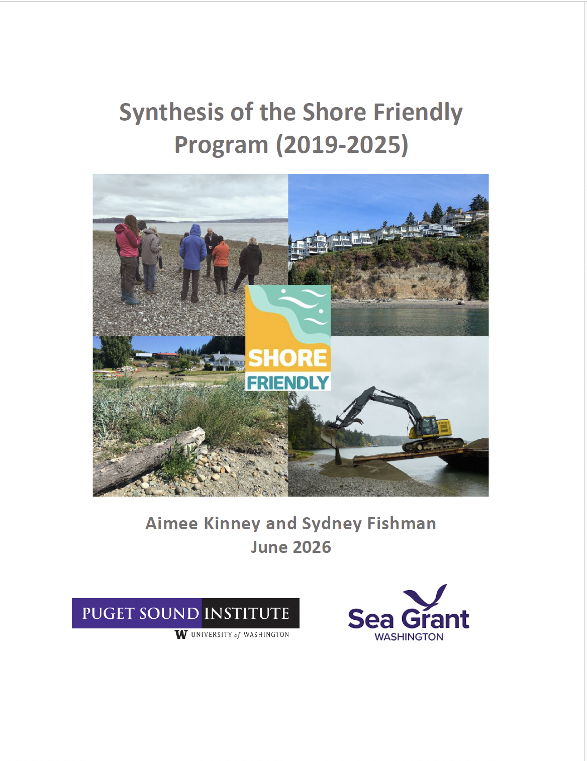Synthesis of the Shore Friendly Program