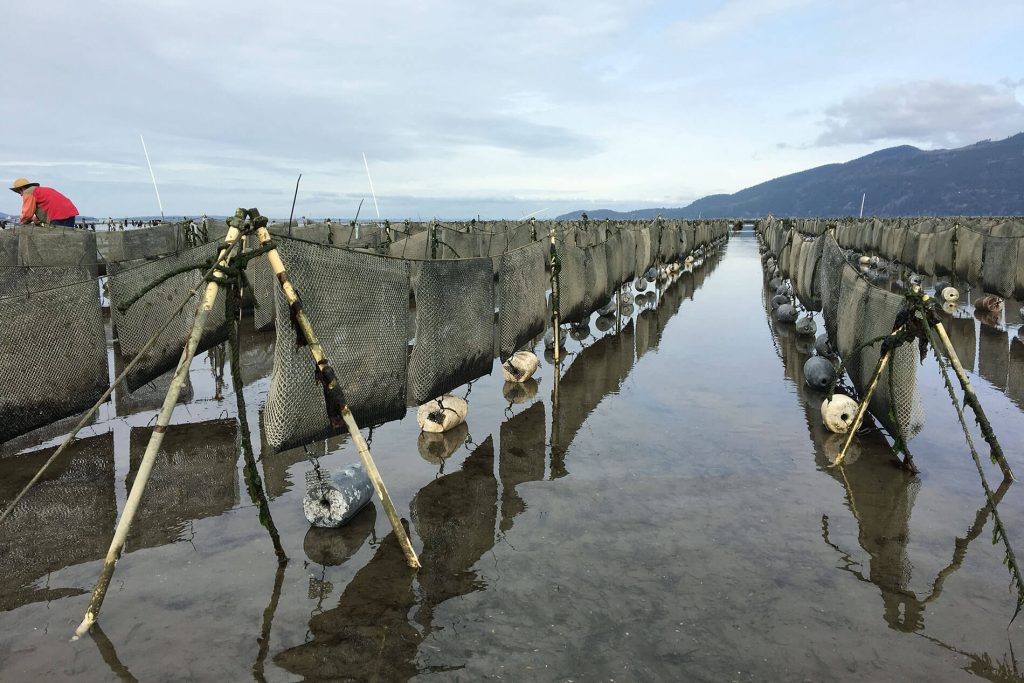 Flip bags at low tide