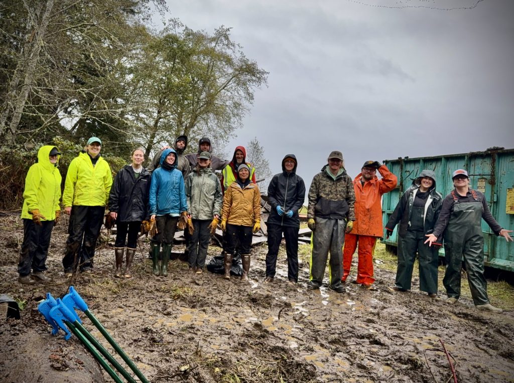 Volunteers stand on a beach during a cleanup